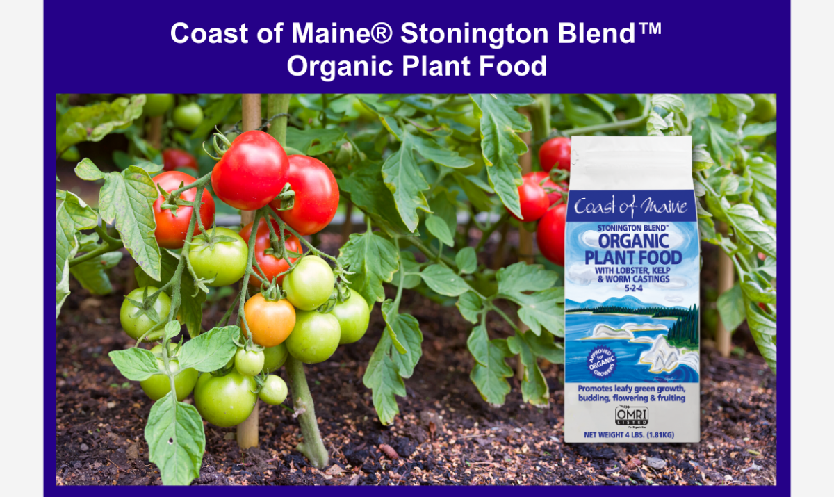 Coast of Maine Stonington Blend Organic Plant Food