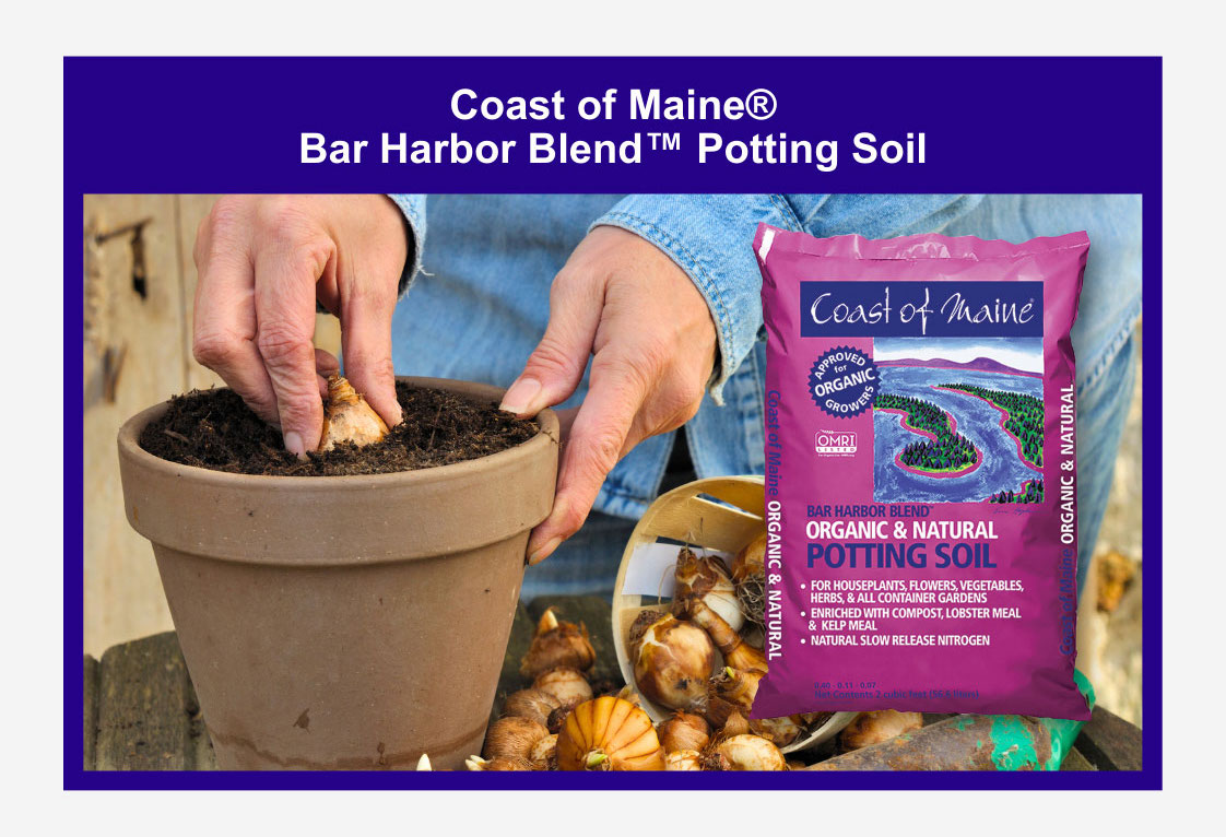 Coast of Maine – Bar Harbor Blend™ Potting Soil Coast of Maine – Bar Harbor Blend™ Potting Soil